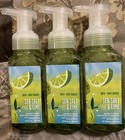 3 X  Bath    Body Works Sea Salt   Lime Gentle Foaming Hand Soap