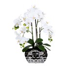 Creativ Green Potted Artificial Orchid Arrangement In Silver Pot  23  Tall