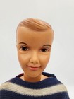 1960s Vintage Near Mint Ideal Tammy   s Family Ted Doll