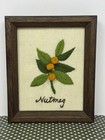 4 Vintage Framed Crewel Embroidery  3d  Spice Flower Plant Pictures- 5 x6  Ea