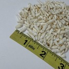 Lot Of 250 Assorted Small Coyote Teeth Real Cleaned Taxidermy Weird Goth  4037