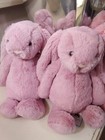 Nwt Jellycat Bashful Tulip Pink Bunny Plush Stuffed Animal  authentic