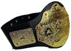Wwe Heavyweight Championship Title Toy Belt
