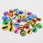 100pcs 6mm Glass 3d Dragon Eyes Cabochon Eyeball  Fish Bail Eyes Nail Art