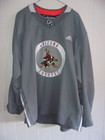 Arizona Coyotes Nick Schmaltz Unused  8 Gray Adidas Size 58 Practice Jersey 2021