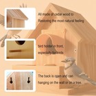 Diy Outdoor Wooden Bird Feeding Build House Window Feeder Birdhouse Protector