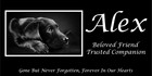 Personalized Pet Stone Memorial Grave Marker Granite Plaque Human Headstone Dog
