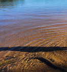 Woahink Lake Florence Dune City Oregon Lane County Sand Soil Sample Apx  30ml