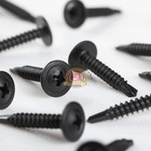 Phillips Truss Head Black Sheet Metal Self Tapping Screw 18-8  8 X 1   Qty 500