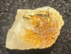 0 21g Wire Gold On White Quartz     Folsom County  Ca     Natural Specimen 