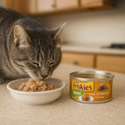 Friskies Pate Liver   Chicken Wet Cat Food     24 Cans 5 5 Oz Case Purina