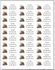 150 Essential Oils Return Address Labels Personalized Printed  1 X 2 5 8