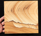 Wow  Big  Picture Stone Or Sandstone Slice And Or Slab From Utah 1281gr