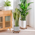 Bamworld Plant Stand Outdoor Rolling Tray Plant Caddy With Wheels Plant Caster