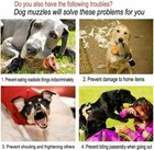 Adjustable Dog Muzzle Mouth Cover Mesh Mask Anti Stop Bite Chewing Breathable Us
