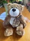 Animal Alley Toys R Us 2000 Brown Tan Teddy Bear Plush 14    Sitting Stuffed Vtg