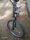 1957 Schwinn Deluxe Cruiser