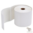 10 Rolls 4x6 5000 Direct Thermal Labels For Zebra 2844 Zp450 Zp500 Zp505 Eltron