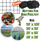 Heavy Duty Netting For Bird Poultry Aviary Game Pens 100  X 50  Net Black Mesh