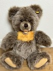 Vintage  Original Steiff Zotty Teddy Bear Ean 0302 40 Rare Growler Id Button Tag