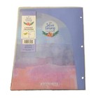 Carolina Pad Silver Lining 6 Pocket Organizing Folder  Make Today Amazing   3-ho