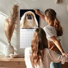 Pekingese Calendar 2026 - Dog Breed Wall Calendar - Made In The Usa 