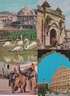 Jaipur 49 India Postcards Mostly 1960-1980  l6166 