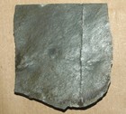 Ediacarian Age Fossils  Arctic Norway -slab With Hiemalora And Aspidella