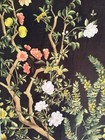 Urban Outfitters Freya Boudoir Wall Mural 100  Cotton