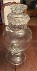 Early American Pattern Glass Dakota Apothecary Jar Late 1800   s Early 1900   s