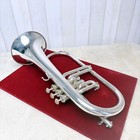 Nikkan Yamaha Yfh-731 Bb Flugelhorn Silver Serviced Sound Tested W  Case Used