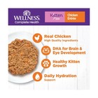 Wellness Complete Health Pate Kitten Canned Wet Cat Food  Natural  Protein Ri   