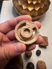 Civil War Artillery Frags  Grape Shot fuses