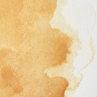 Winsor   Newton Professional Watercolor Paint  0 47oz Tube  Naples Yellow Deep