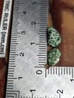  4g Very Bright  from Island  Isle Royale Greenstone Chlorastrolite Michigan Gem