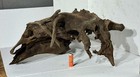Large Natural Driftwood For Aquarium  Terrarium  Reptile Habitat   25   x23   x13   
