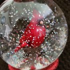 16 5  Battery Operated Lighted Cardinal In Finial Shimmering Lantern-used