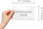 Antique Cat Postcards - 24 Vintage - 12 Assorted Multicolored 