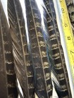 Black Melanistic Mute Pheasant Feathers Lot Beautiful Tail Feathers Unique