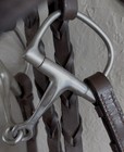Complete Chocolate Brown Plaited    english Bridle W dee Ring