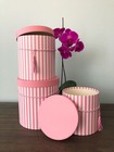 Set Of 3  Large Round Flower gift Boxes With Lids  Color Stripes Design   W935