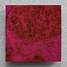 Stunning Stabilized Fuschia Maple Lace Burl Bowl Blank  1404  5 9 16  X 2  1 16 