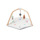 Lov  v  ry-the Play Gym   Stage-based Developmental Activity Gym   Play Mat