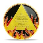 13 Year Sobriety Coin Aa Chip Medallion Alcoholics Anonymous 13 Years Sober Gift