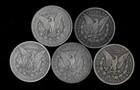 Five  5  Morgan Dollars 90  Silver  1879-1896   lower Grade cull  Lot C02