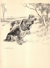 1938 Antique Cocker Spaniel Print Vernon Stokes Cocker Spaniel Wall Art 6603c