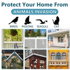 Bird Spikes  1 2m Tall Bird Deterrent Spikes  3 Pack Plastic Anti Pigeon Spikes