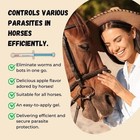 12 Pack New Paste Wormer Horse Dewormer Apple Flavor Us Free Shipping Exp1 2028