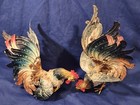 Vtg Cold Painted Mid-century Fighting Cocks Rooster Chicken Figure Signed Italy