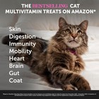 New Cat Multivitamin Crunchy Creamy Chews 3 Immune Daily Vitamins Lysine Omega
